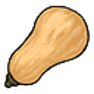 Butternut Squash