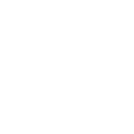 Unique and Special items