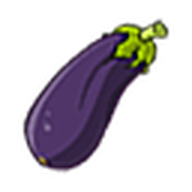 Eggplant