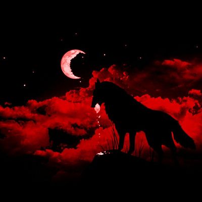 Kassandra Exxen header image