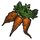 Carrots