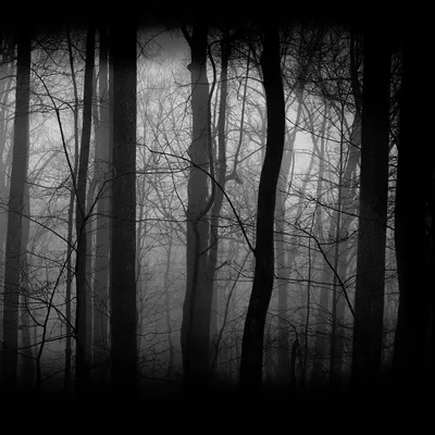 Shem "Sombre-Rêve" header image