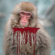 Rich Frog, Dead Monkey