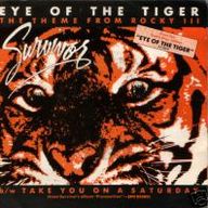 EYE OF THE TIGER
