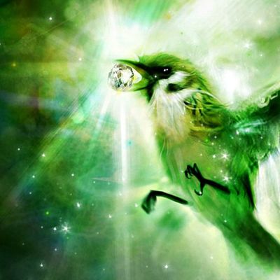 Lune d'Emeraude header image