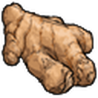 Ginger Root