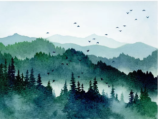 Northern Wardens: Bale and his Amazing Friends