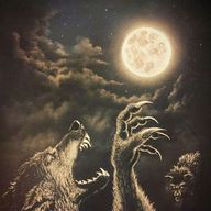 05 - La mariée lyncanthrope