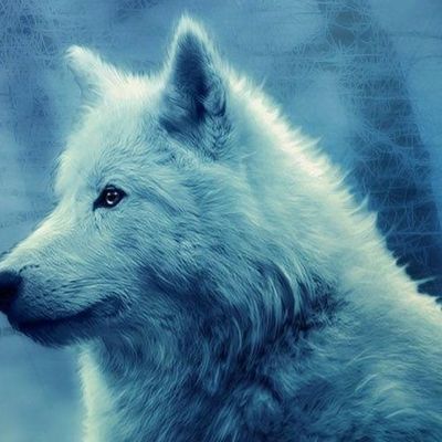 Jonas Albrecht header image