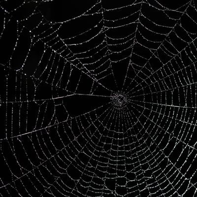 Geri Blackmon header image