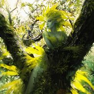 Seek Out Powerful Spirits