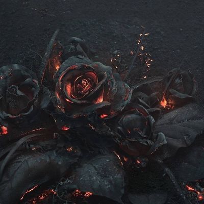 Esquille header image