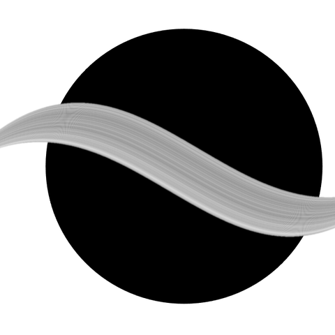 The Society of the Bond