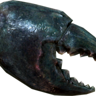 Mudcrab Chitin