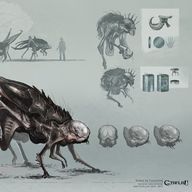 Les champignons / Pilze