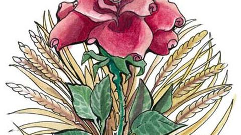 Chauntea, Die Erdmutter