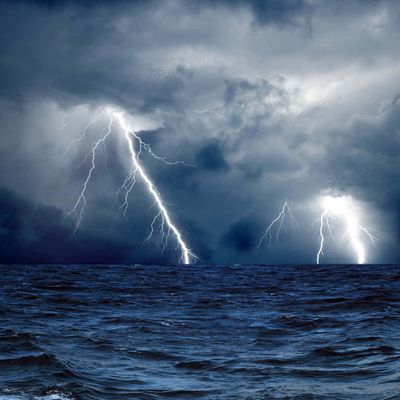 Yumi Watanabe header image