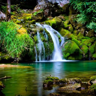 Meute Griffes de Jade header image