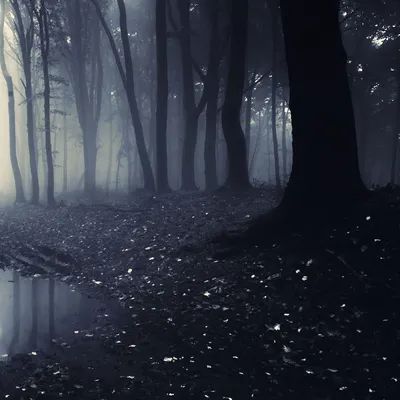 Les Dullahans header image