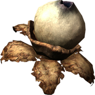 Swamp Fungal Pod