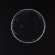 T̸̤͔̲͚̋̐̒̌h̷̪͗̃͒e̵͖̳̦̣̩̫̜̤̽̋́͘͜͜ ̵̮͛̈Ģ̸̙̱̪̉̄̕ŗ̵̢̪͉̙̫̞̟̜͚̈́̅̄̀̈́e̴̤̜̺͓̬͈͌͗̃̇̓̀a̴̞͕̫͉̥̺͇̰͑̅̋̒̋͐̀͠t̸̨͔̱̼͎̉͜ ̶͇̖̟̚D̸̡̳̝̲̜͙͗̎̋̊̂̊͊͘ȉ̶̝͈͊s̷̖̃̐ả̷͚̀s̸̳̼̮͖̻̠̍ţ̸͇͖̪̟̖̹̑͐̒̎͘e̶̮̥̣͍̥̪̠͔̭̟̔̊͌̚̕͘r̴̫̠͔͇̳̈