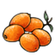 Kumquats