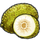 Breadfruit