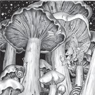 03 Expeditionen im Reichsforst und in Angbar