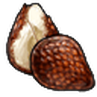 Snakefruit