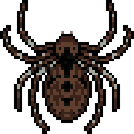Arachnid