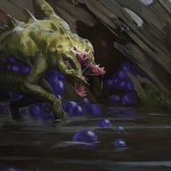 S08 - Cas de parasitisme amphibien et de zoomorphisme héréditaire