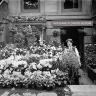 Thousand Flowers Bloom