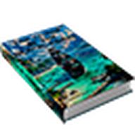 The Curse of the Black Pearl