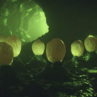 Chapter 5 - The Ruins of Rhest