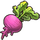 Beet