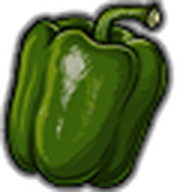 Green Bell Pepper