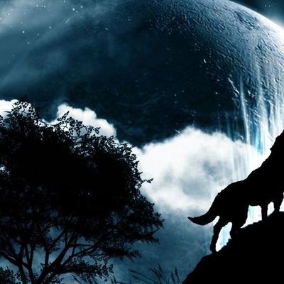 Meute des Hurleurs Gris header image