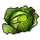 Sweet Cabbage